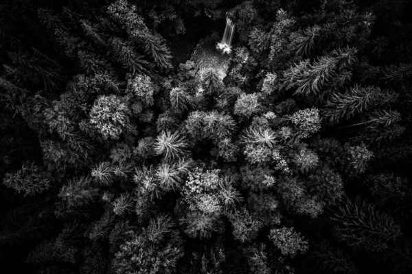 MONOCHROMES