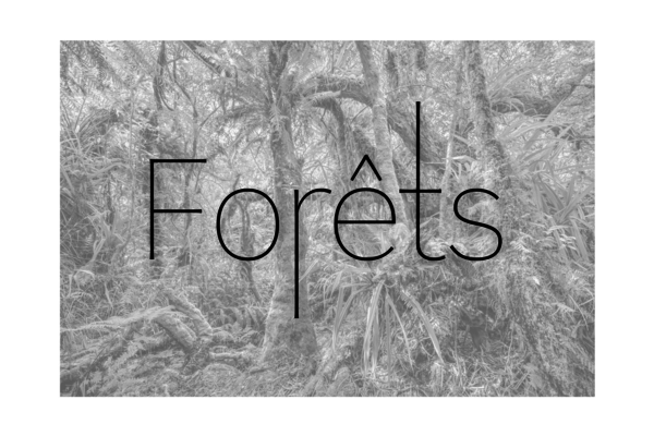 FORÊTS
