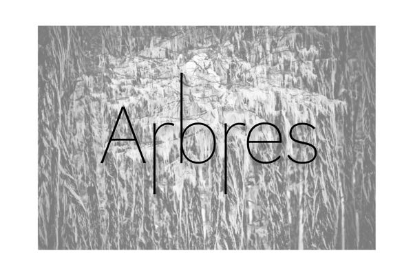 ARBRES