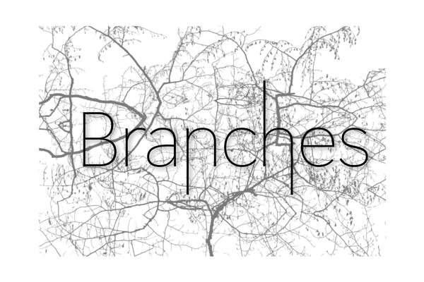 BRANCHES 