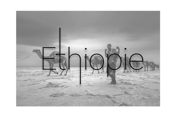 ETHIOPIE - Mineurs de sel